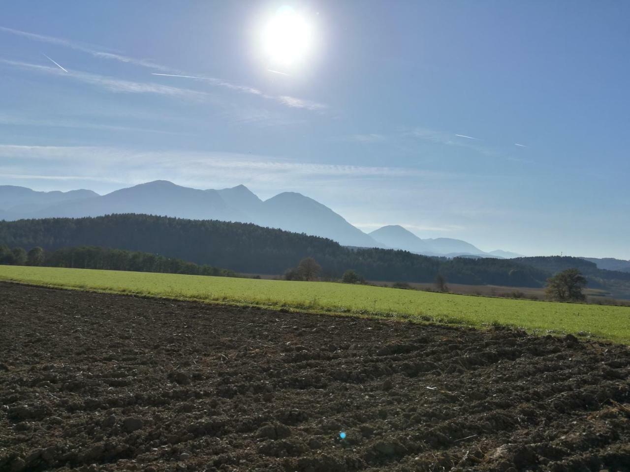Sankt Kanzian am Klopeiner See Landgasthof Piroutz المظهر الخارجي الصورة